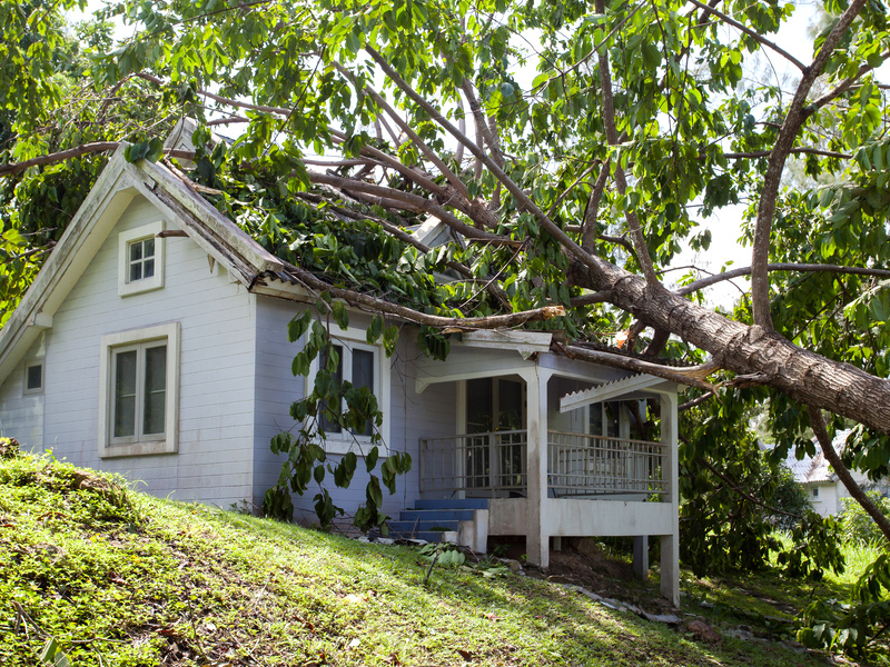 Windstorm Damage Insurance Claim